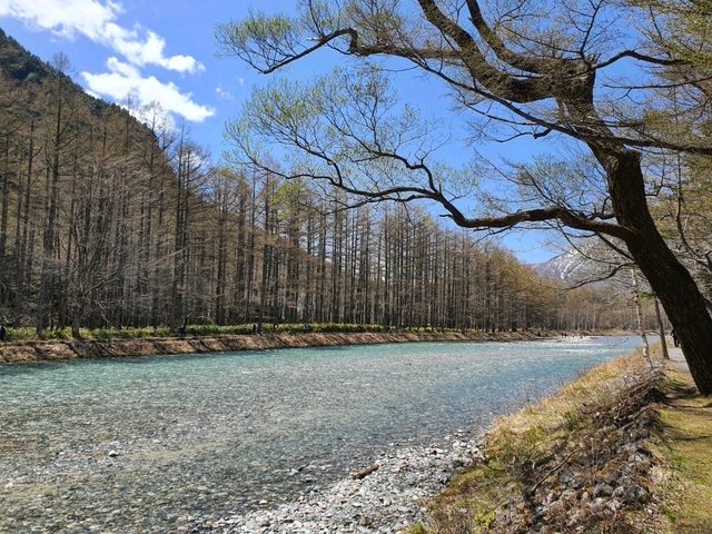 คามิโคจิ✨️สักครั้งในชีวิต Kamokochi Nagano Japan🇯🇵