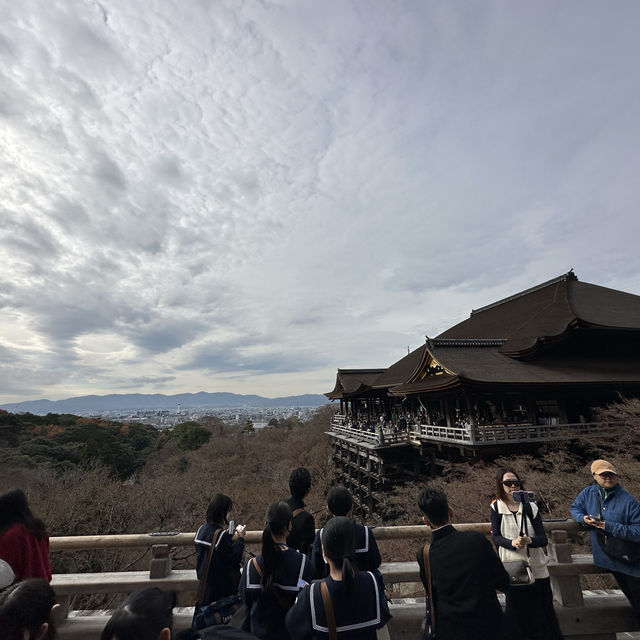 Experiencing the Serenity of Kyoto