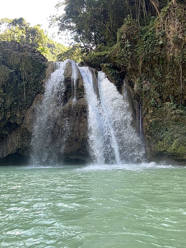 A Captivating Cebu Experience: Kawasan Falls 