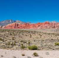 Las Vegas 🇺🇸 Beautiful rock formation at Red Rock Canyon! 