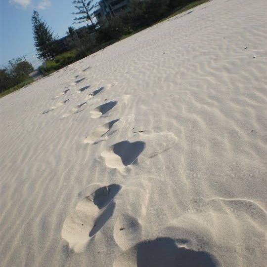 "Exploring the Iconic Beaches of the Gold Coast"