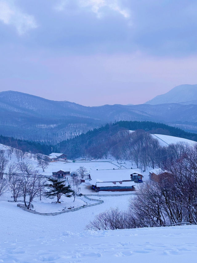 Trip with family to Pyeongchang, Korea 🇰🇷