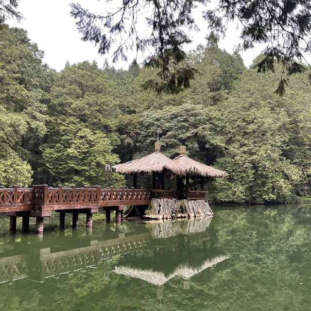 Lost in beauty at Alishan