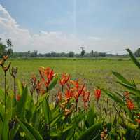 Tranquil Retreat at Rumah Dharma Villas Borobudur