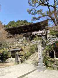 【兵庫旅行】姫路／映画ラストサムライのロケ地に使われた仏教寺院