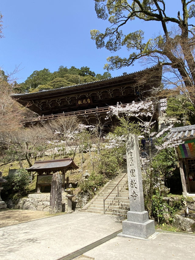 【兵庫旅行】姫路／映画ラストサムライのロケ地に使われた仏教寺院