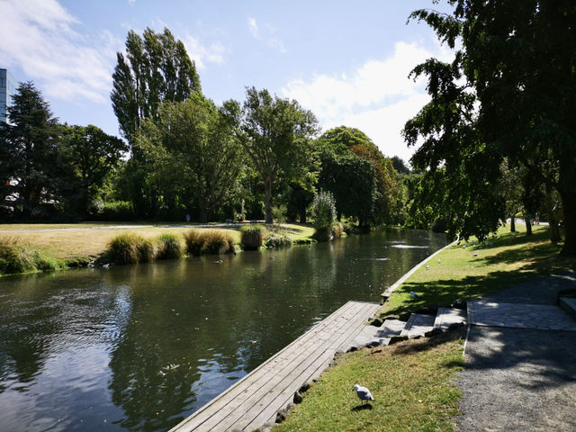 🇳🇿 新西蘭基督城 最像英國的城市？