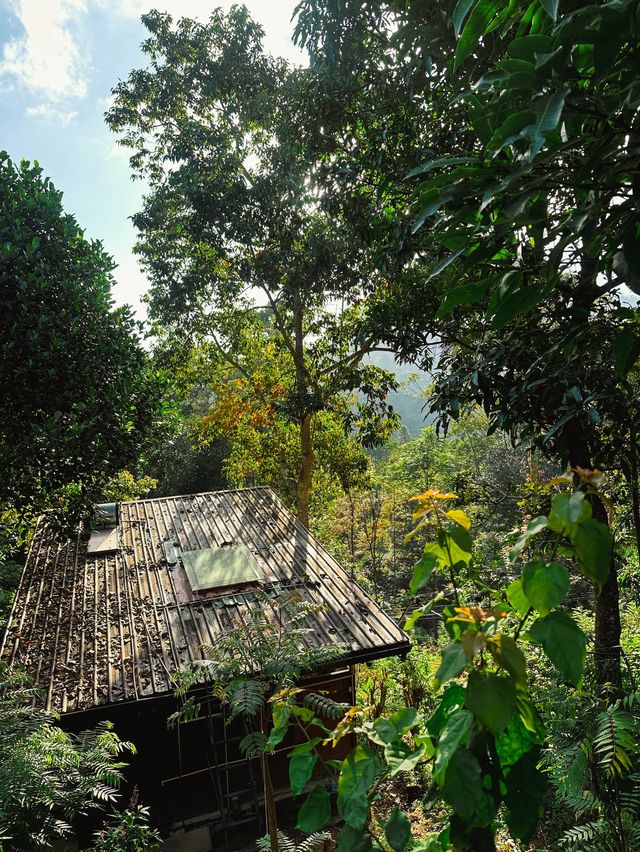 Little Adam’s Peak, Ella, Sri Lanka🇱🇰🌱