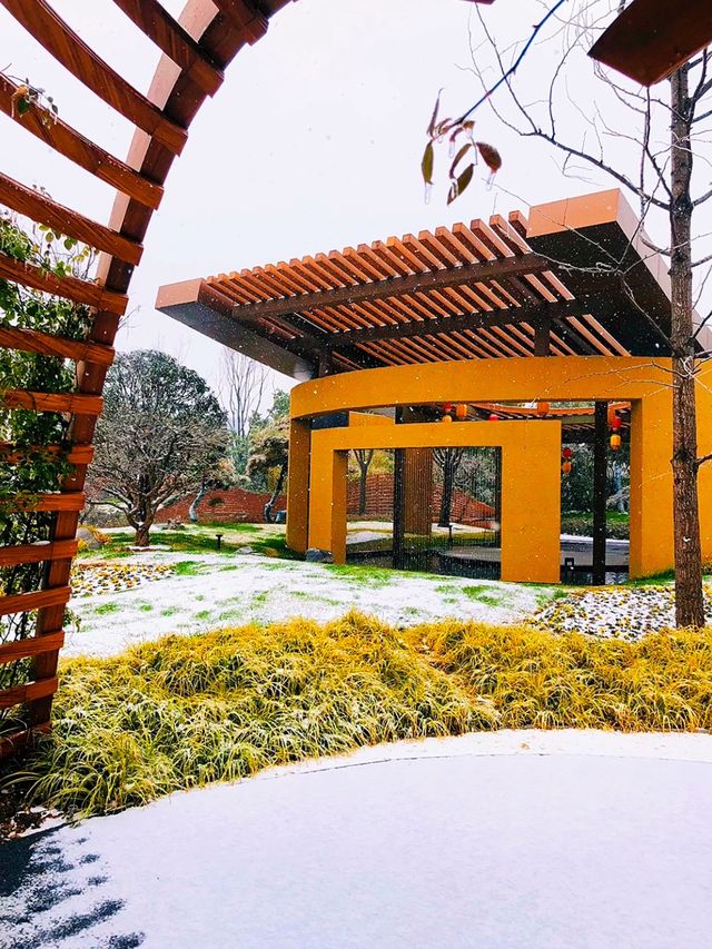 豫見雪後合肥園博園鄭州園