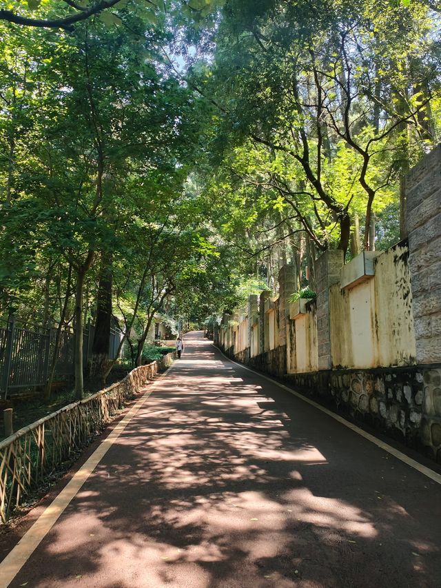 昆明周末爬山好去處—西山公園。