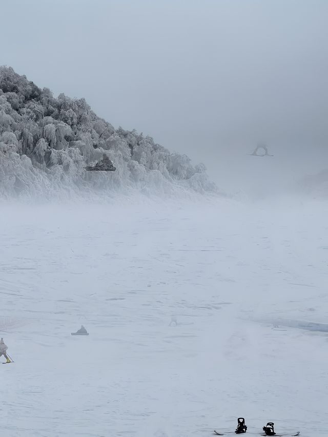 金佛山親子一日遊：冰雪歡樂之旅