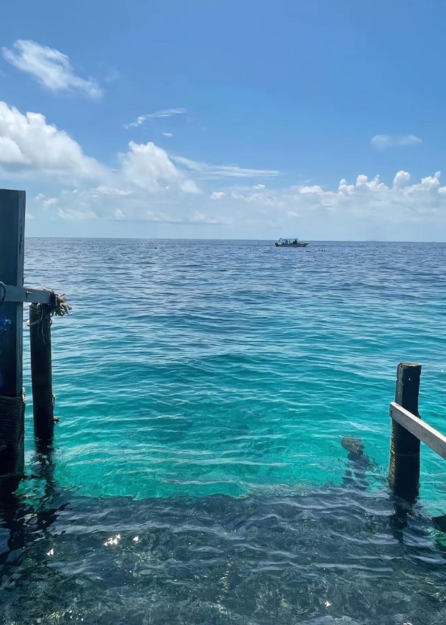 仙本那——夢幻海洋之旅