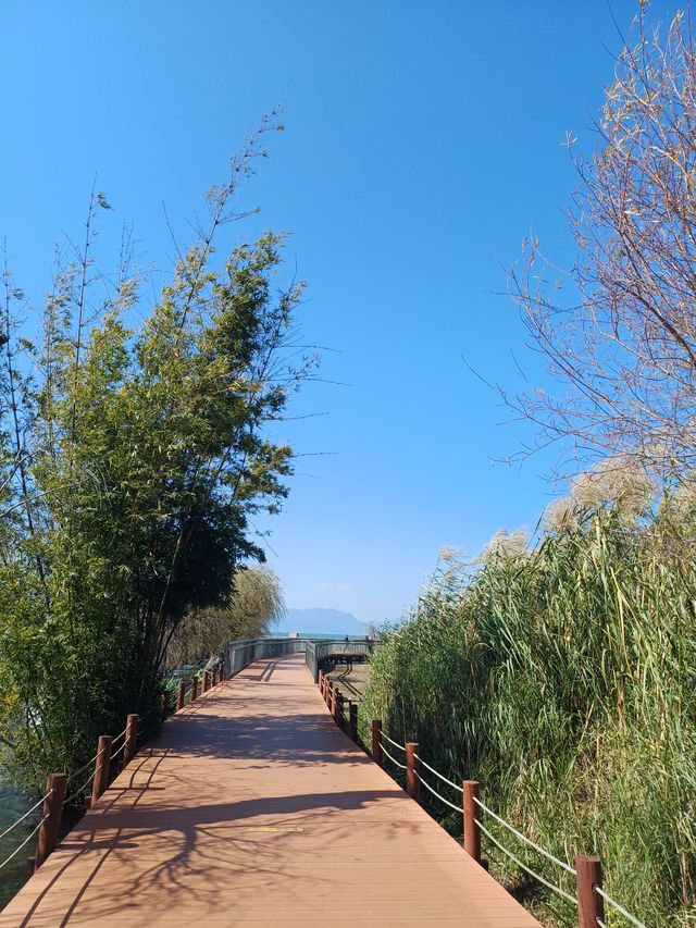 撈魚河公園——樹和鳥的樂土