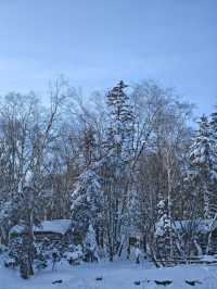 5日玩遍哈爾濱-雪鄉看這篇攻略就夠了