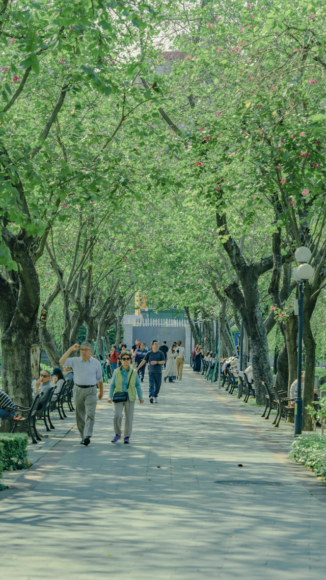 廣州東山湖公園拍照打卡攻略（安靜舒適的地方）