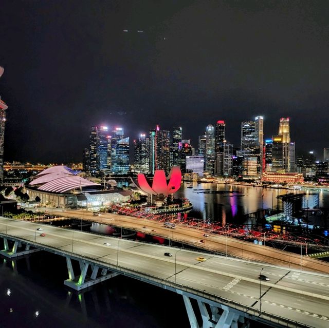 Singapore Flyer: City Lights Beneath the Starry Sky