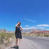 Las Vegas 🇺🇸 Beautiful rock formation at Red Rock Canyon! 