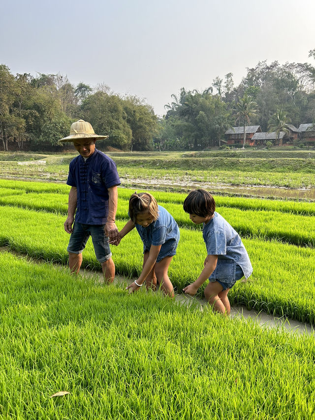 Experience local farm-stay in Thailand