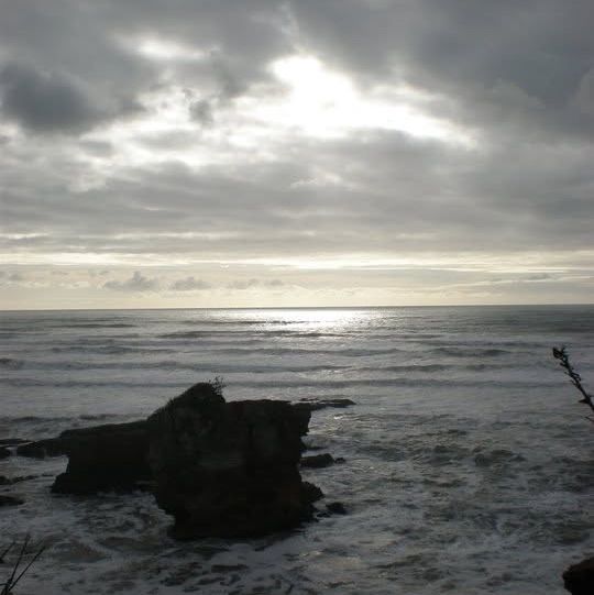 "Punakaiki Blowholes: Witness Nature’s Coastal Spectacle on New Zealand’s West Coast"