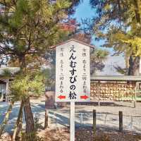 "Rejuvenation in Nature: A Visit to Shirakawa Fountain Head"