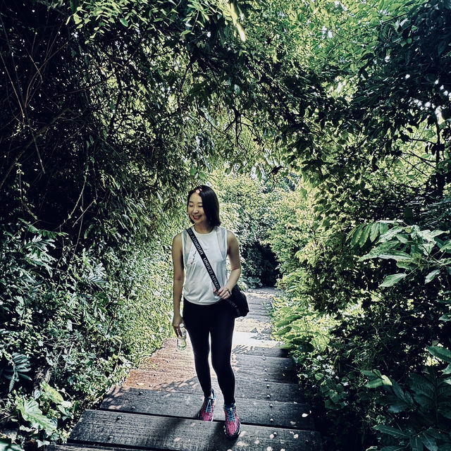 Nature's Hiking Adventure in the Cameron Highlands