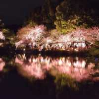 京都旅遊～平安神宮