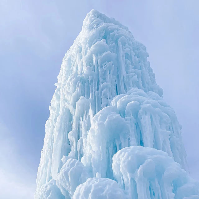 美しい北海道の雪景色❄️