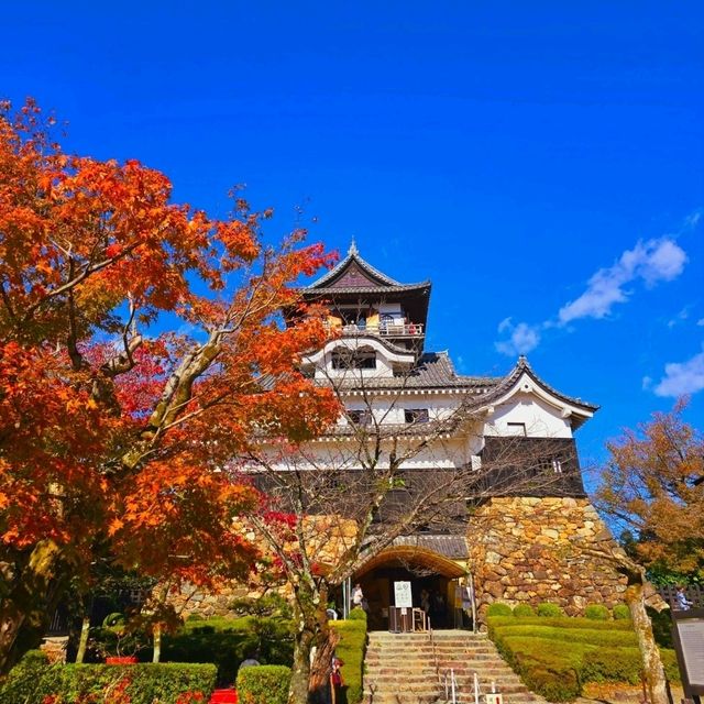 秋風紅葉犬山城