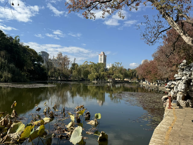 Green Lake Park: Kunming’s Timeless Gem