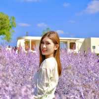 Floryday Khaoyai : Cafe & Flower