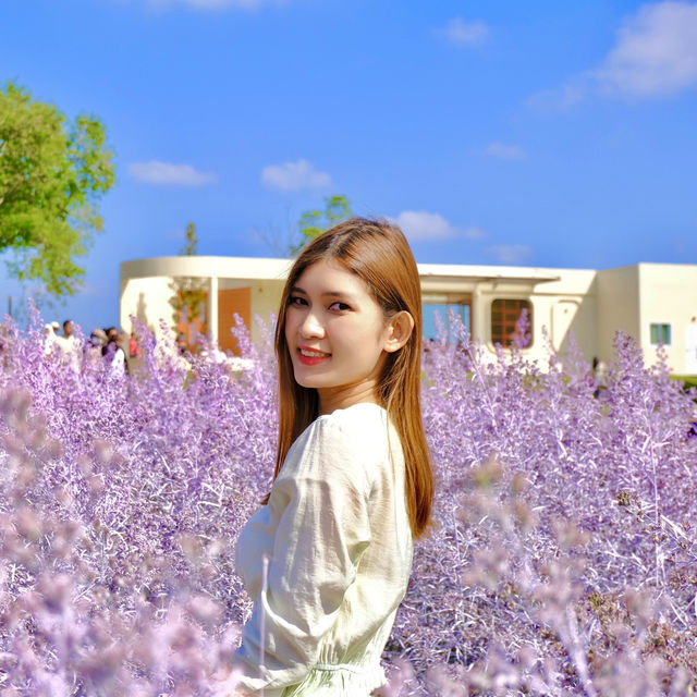 Floryday Khaoyai : Cafe & Flower