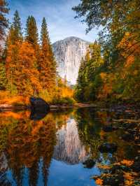 A Visit to Yosemite National Park