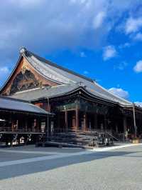 京都の世界遺産・重要文化財の宝庫🥰西本願寺💛🍁大銀杏も見事🥹🍁💛