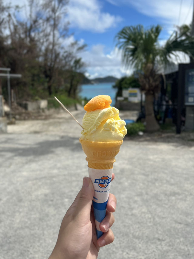 【渡嘉敷】驚くほど透明な海で癒しのひとときを🏝️