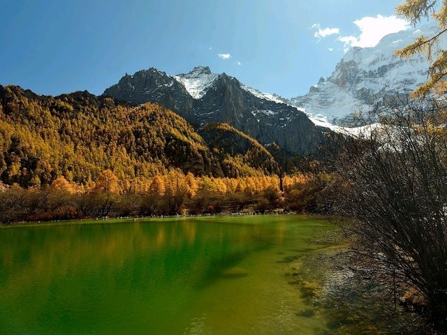 Best Autumn Viewing Experience 2/3 [Xiannairi Snow Mountain, Yading Nature Reserve]