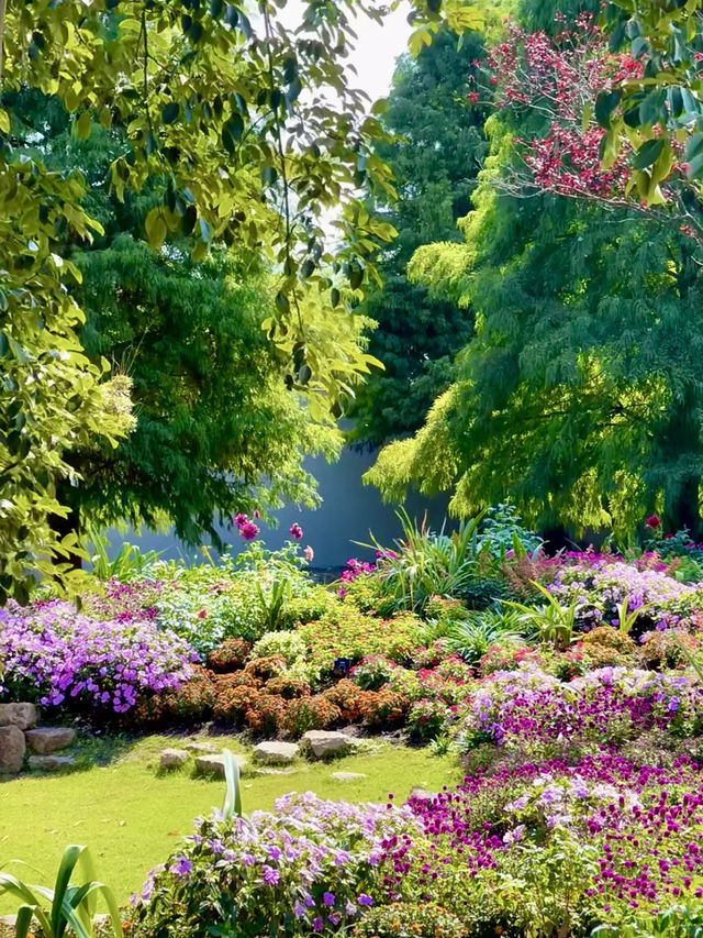 花語辰山：上海辰山植物園的詩意漫步