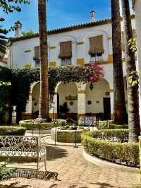 Las Duenas Palace - Seville, Spain