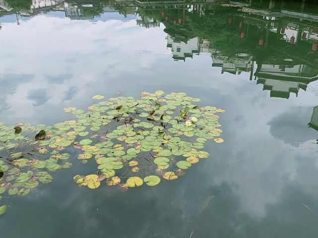 免費的古村值得你特意把她作為一個必遊的景點 ‖ 深澳古村