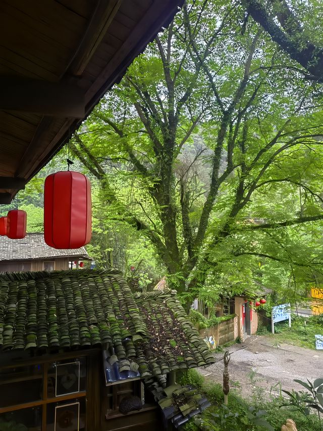 景德鎮三寶國際陶藝村博物館民宿