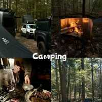 Camping with friends and outdoor activities 