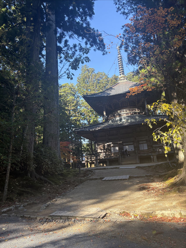 高野山——避開人流，和歌山縣的賞楓好地。