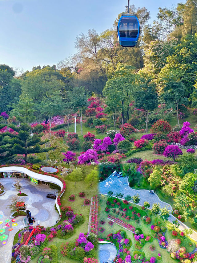 白雲山下的雲蘿植物園開園啦