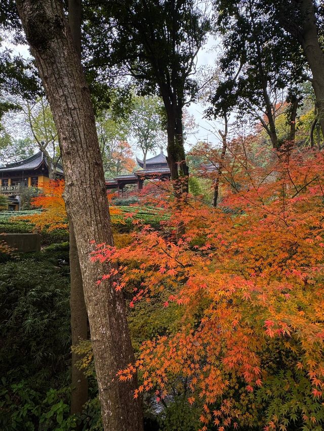 一份永福禪寺的旅遊攻略