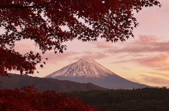 赴日之旅｜與富士山的浪漫之約