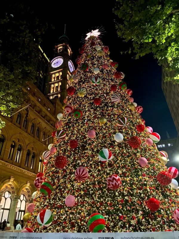 Discover the Most Beautiful Christmas Tree in the Sydney