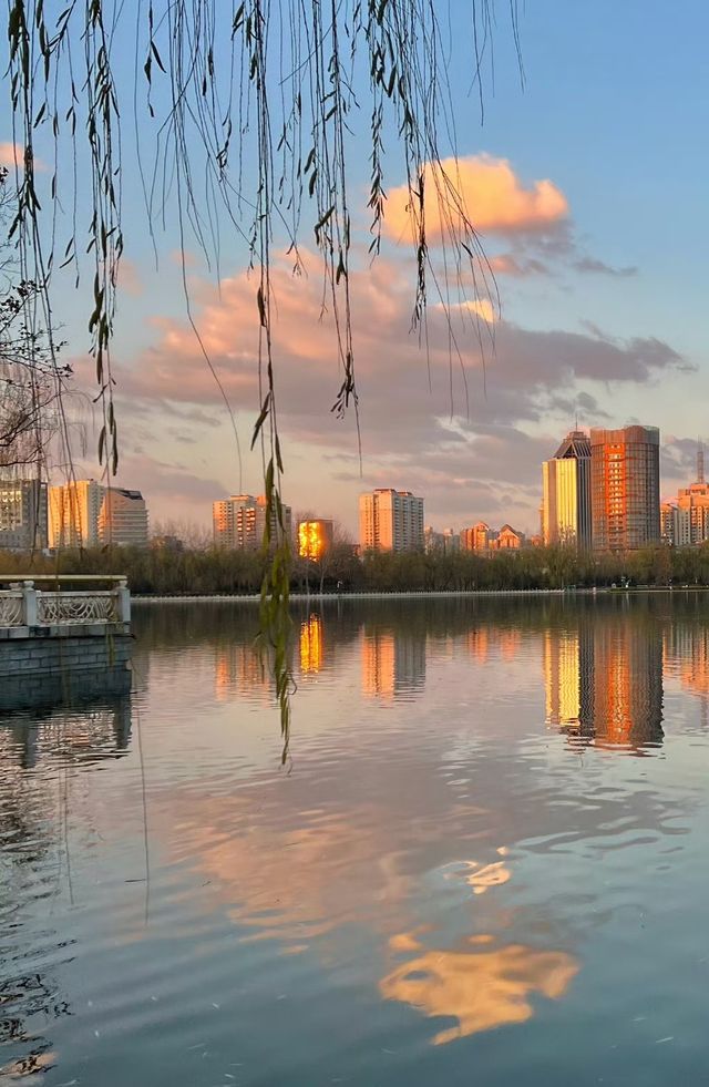 蓮花池公園