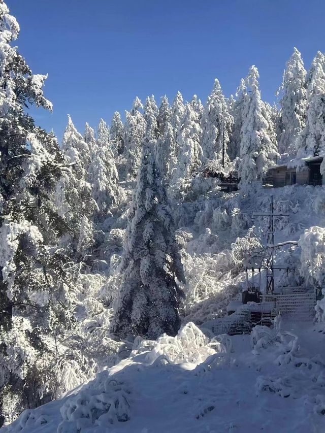 剛從瓦屋山回來，雪景真的太震撼了！