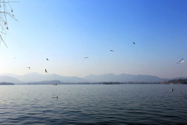 冬日西湖風景