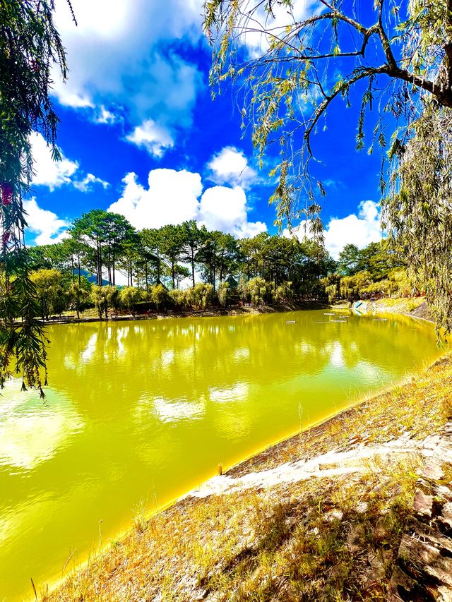 A Hidden Monastery In Dalat City🇻🇳