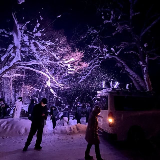 日本| 東北| 住宿| 星野 | 一生至少住一次的酒店